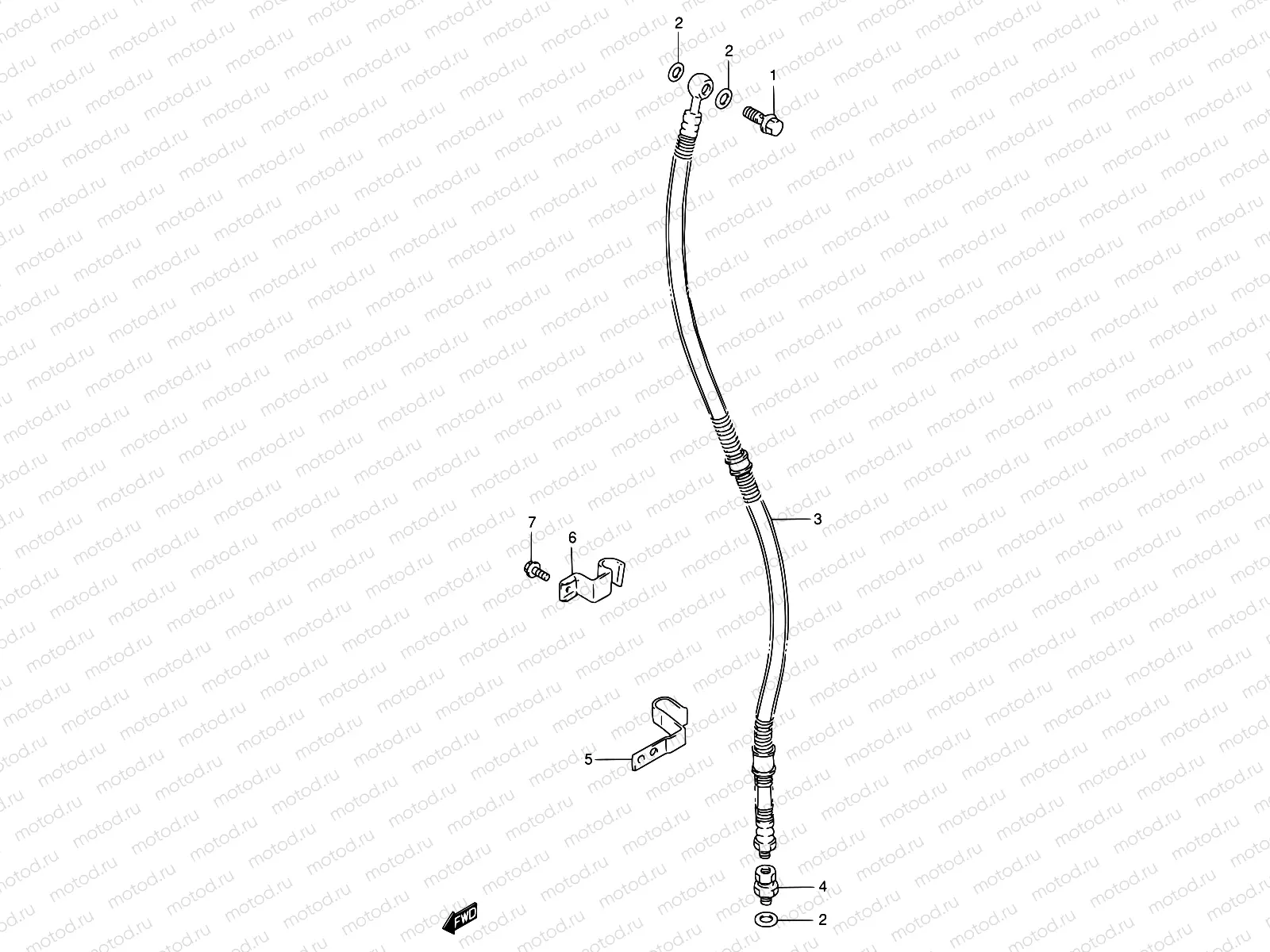 50 - FRONT BRAKE HOSE