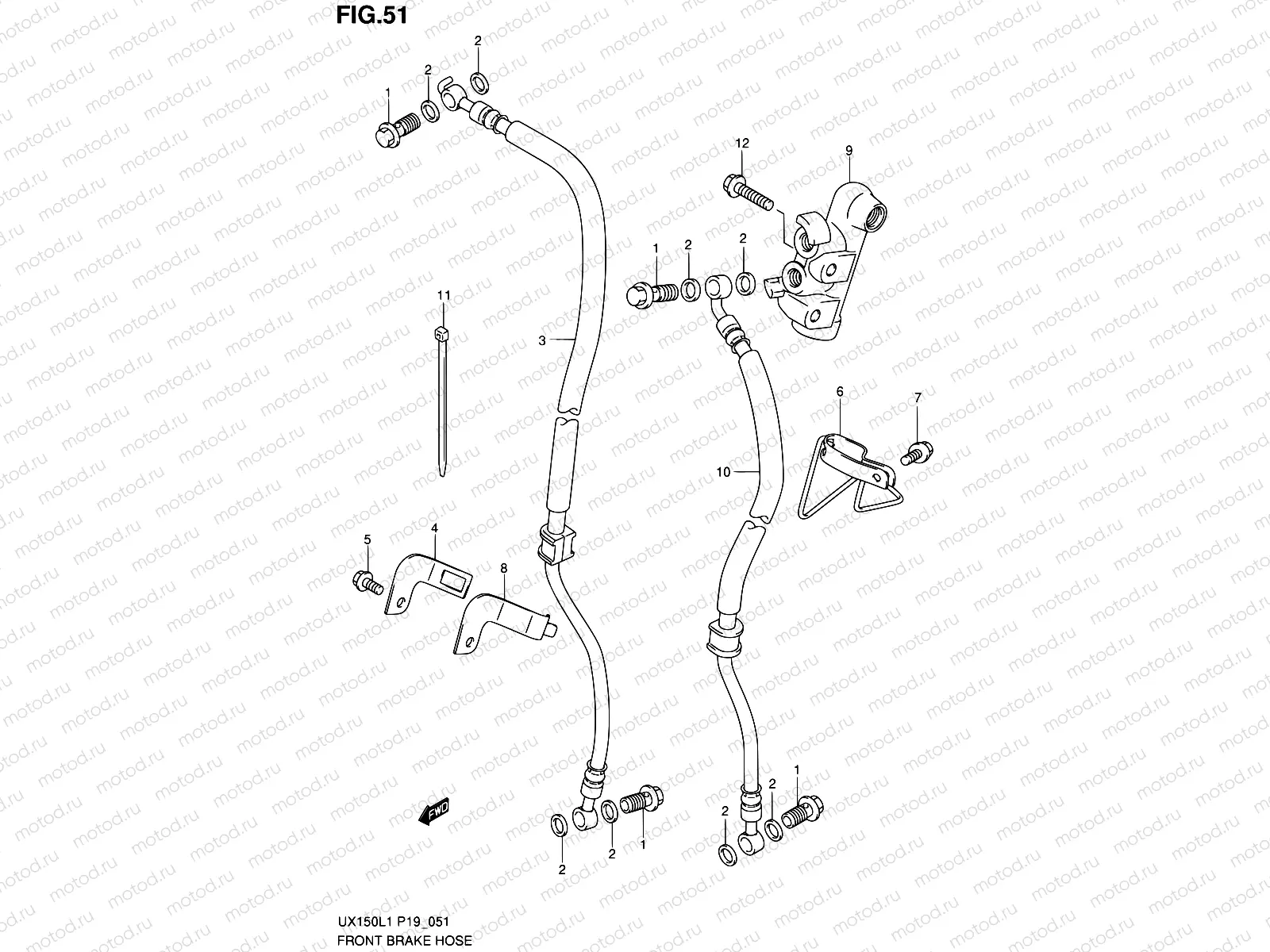 51 - FRONT BRAKE HOSE