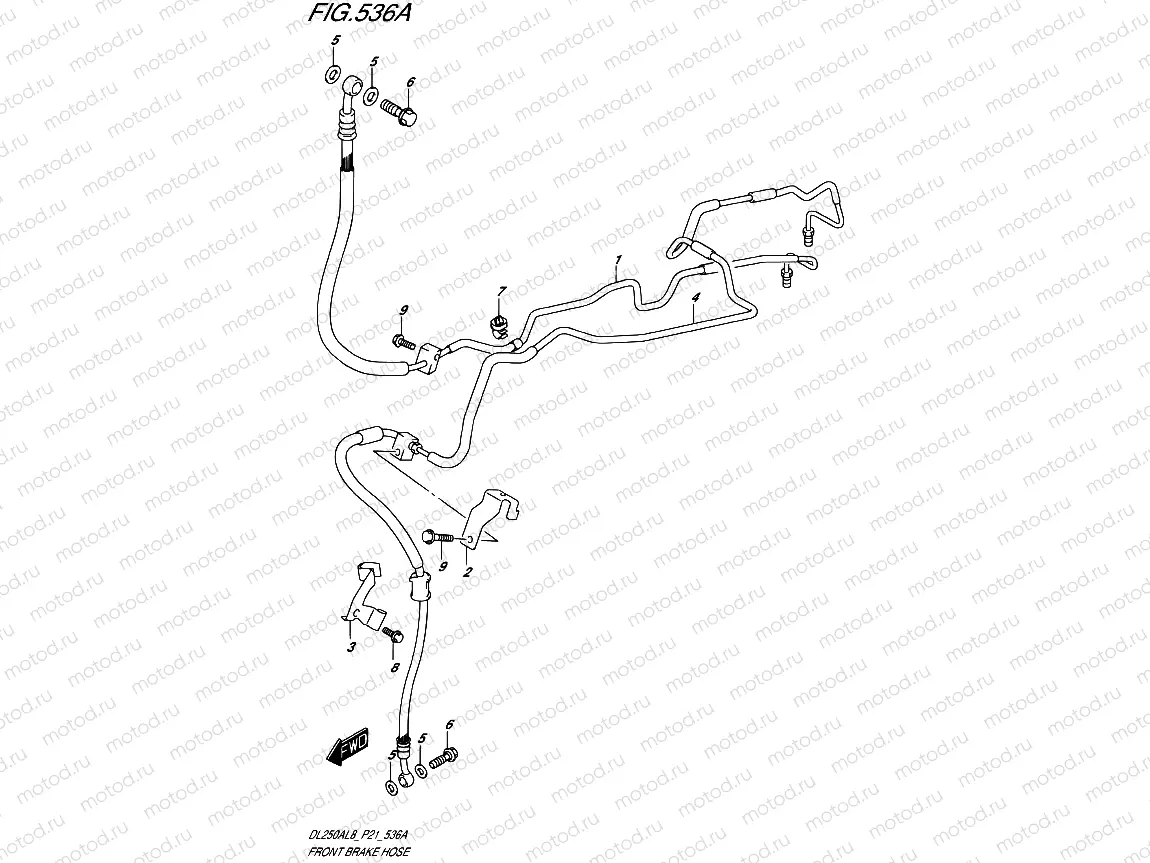 536A - FRONT BRAKE HOSE