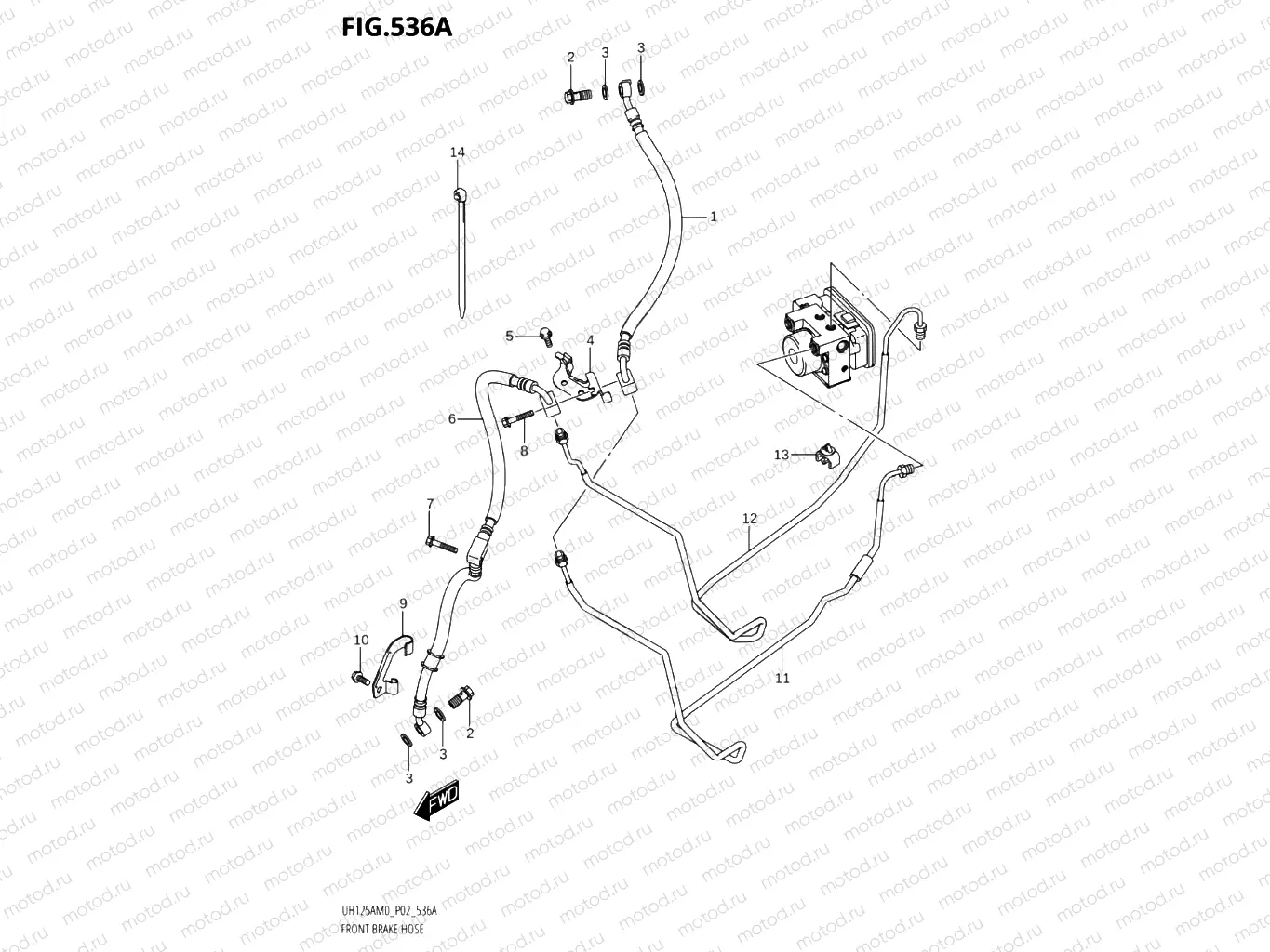 536A - FRONT BRAKE HOSE