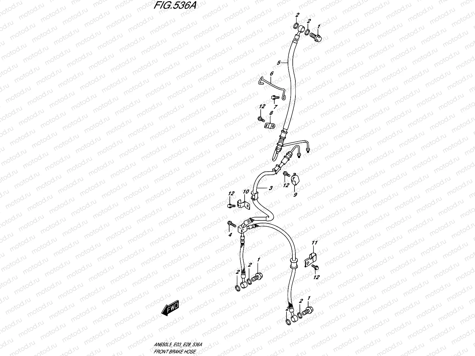 536A - FRONT BRAKE HOSE
