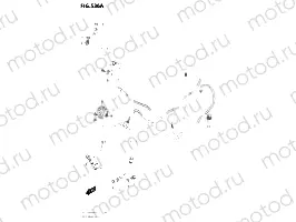 536A - FRONT BRAKE HOSE