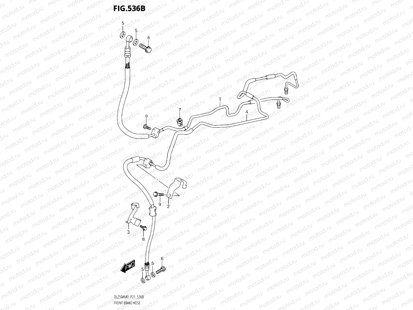 536B - FRONT BRAKE HOSE