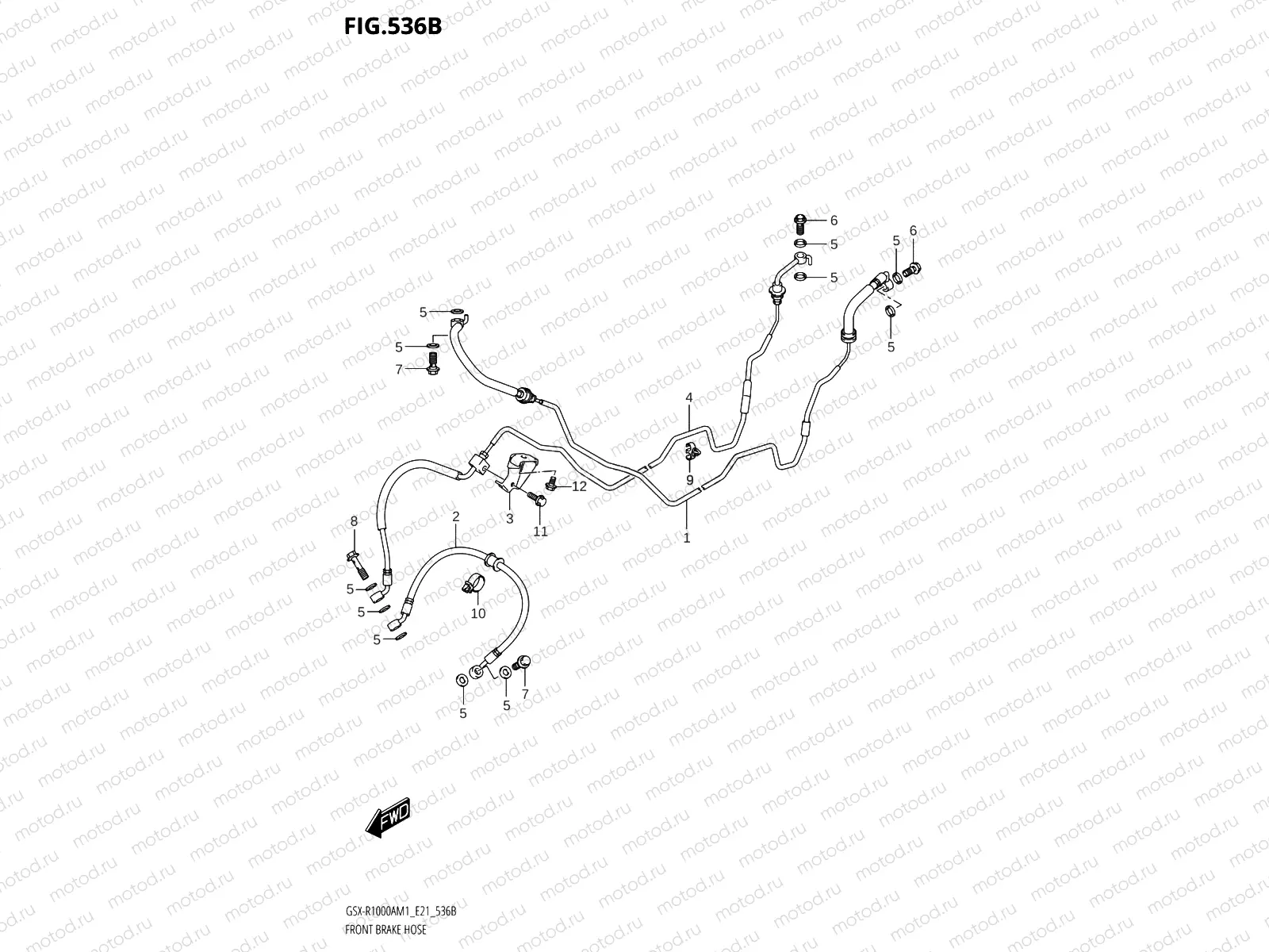 536B - FRONT BRAKE HOSE