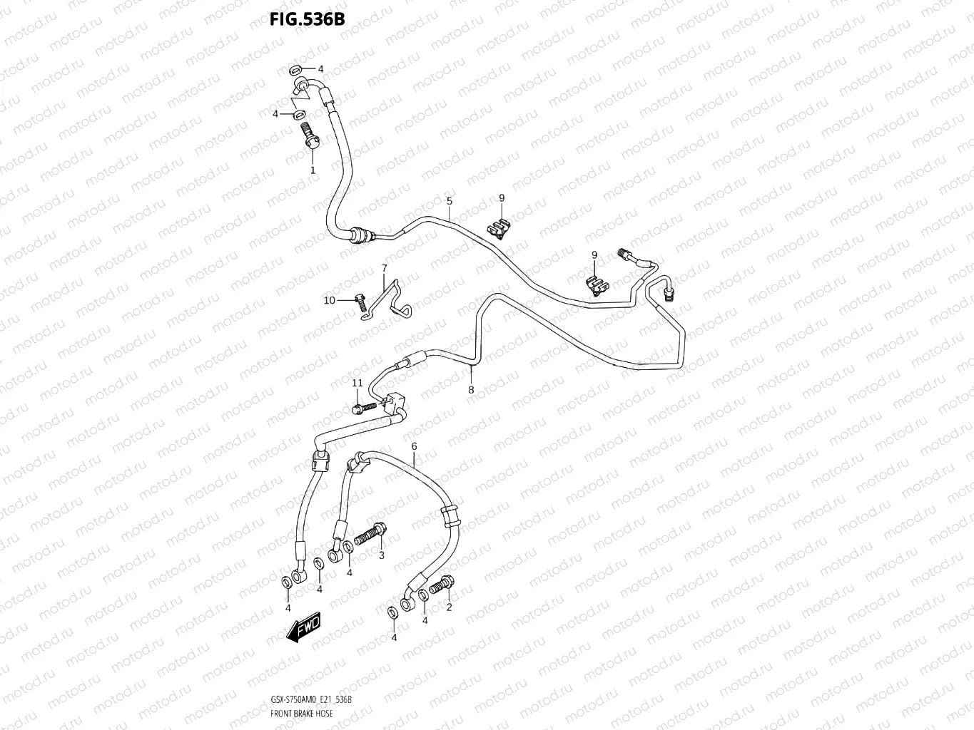 536B - FRONT BRAKE HOSE