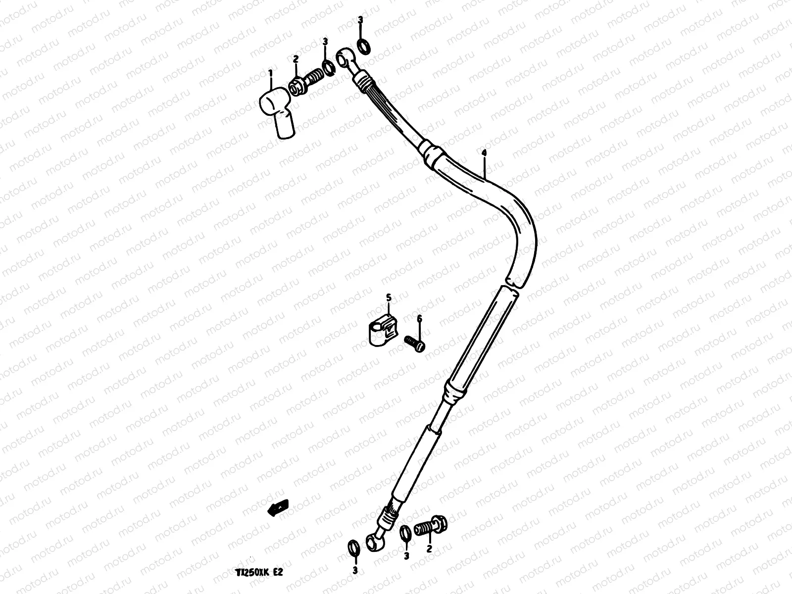55 - FRONT BRAKE HOSE