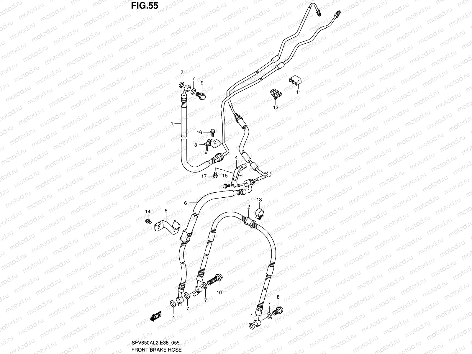 55 - FRONT BRAKE HOSE