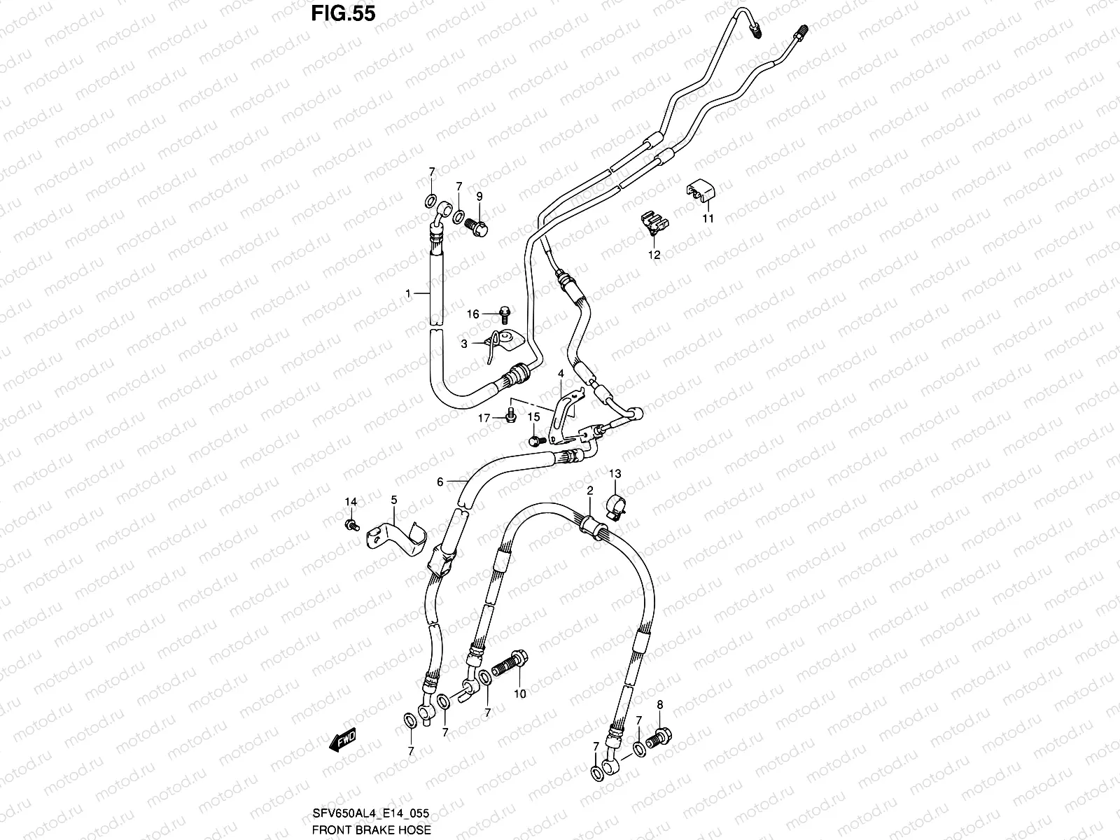 55 - FRONT BRAKE HOSE