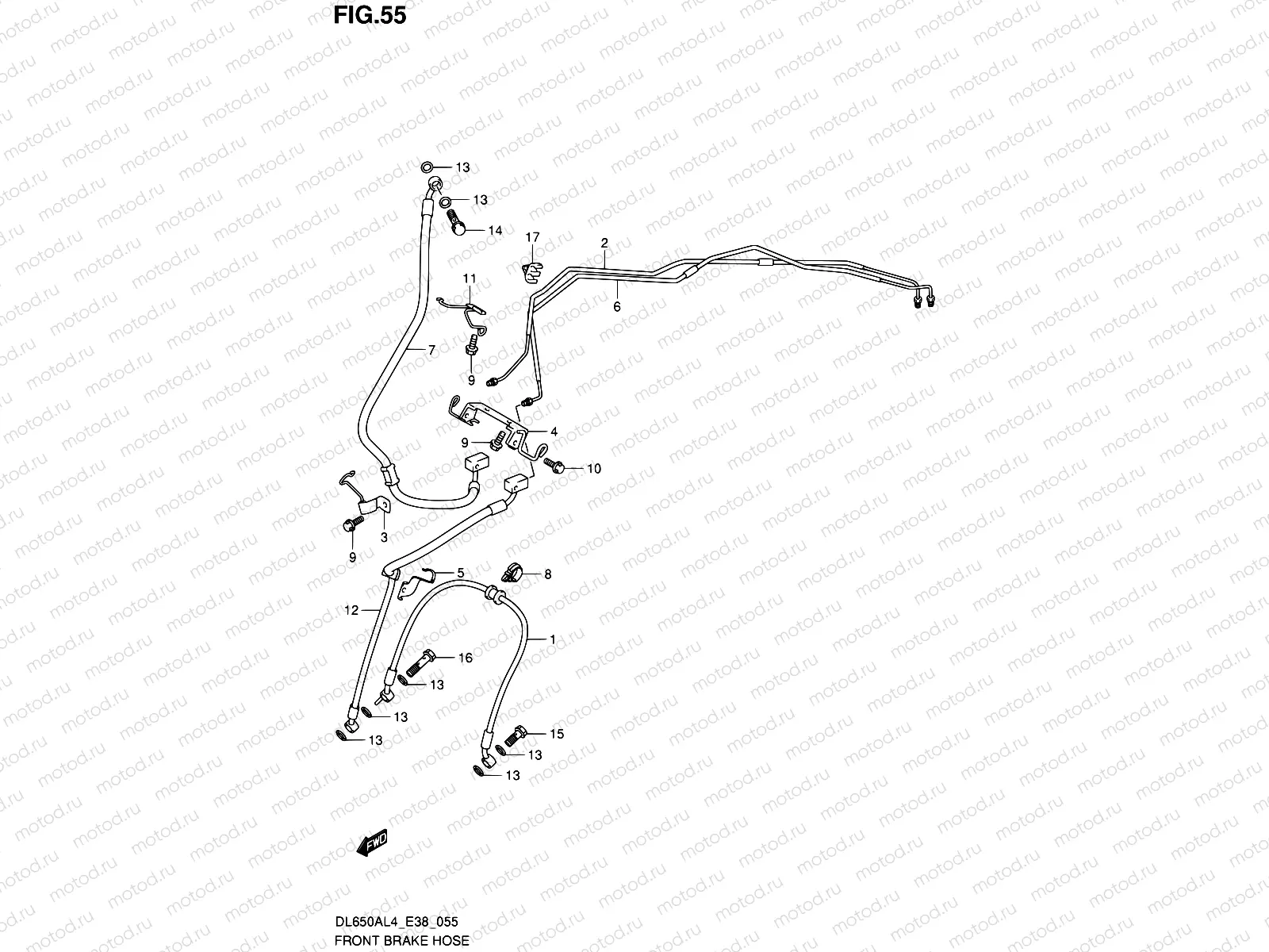 55 - FRONT BRAKE HOSE