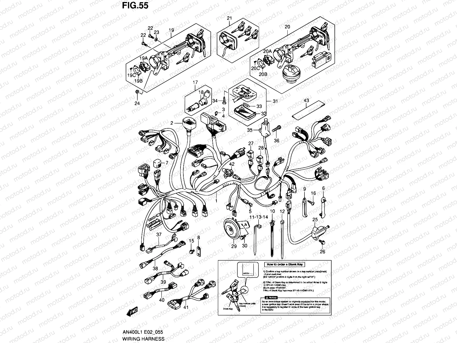 55 - WIRING HARNESS (IMOBI) (AN400AL1 E19)