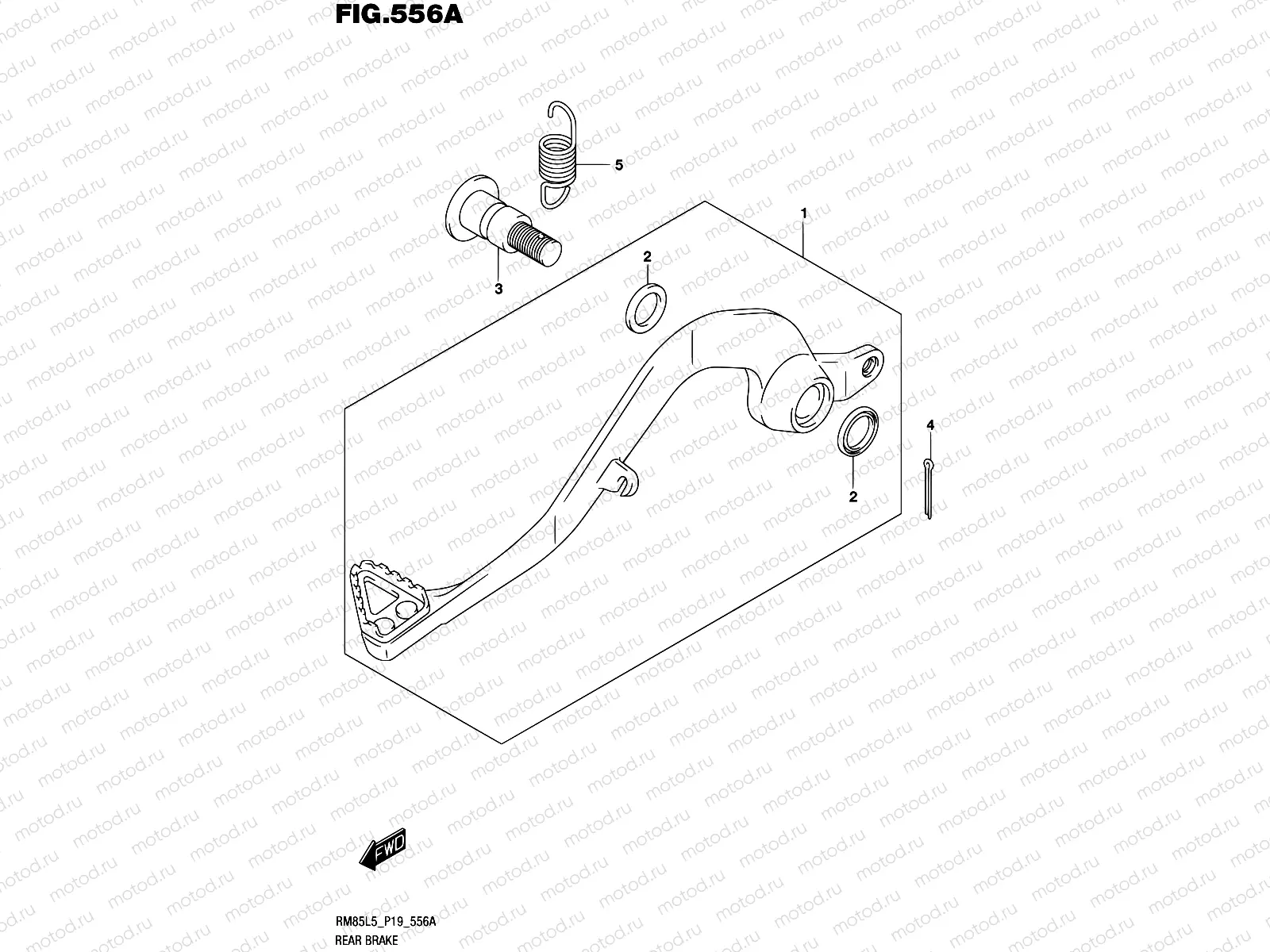 556A - REAR BRAKE