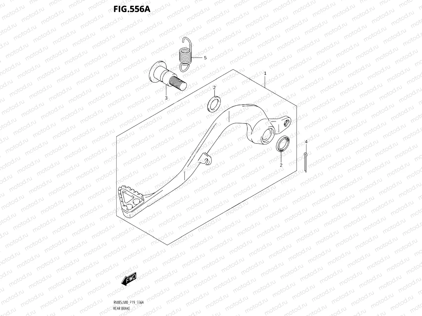 556A - REAR BRAKE