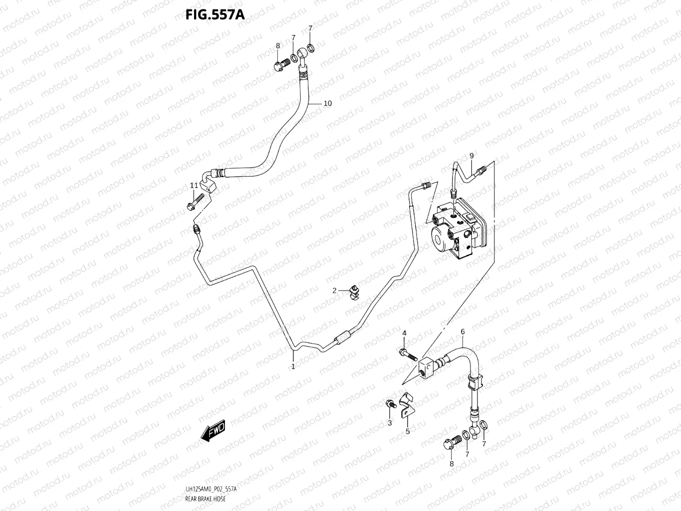 557A - REAR BRAKE HOSE