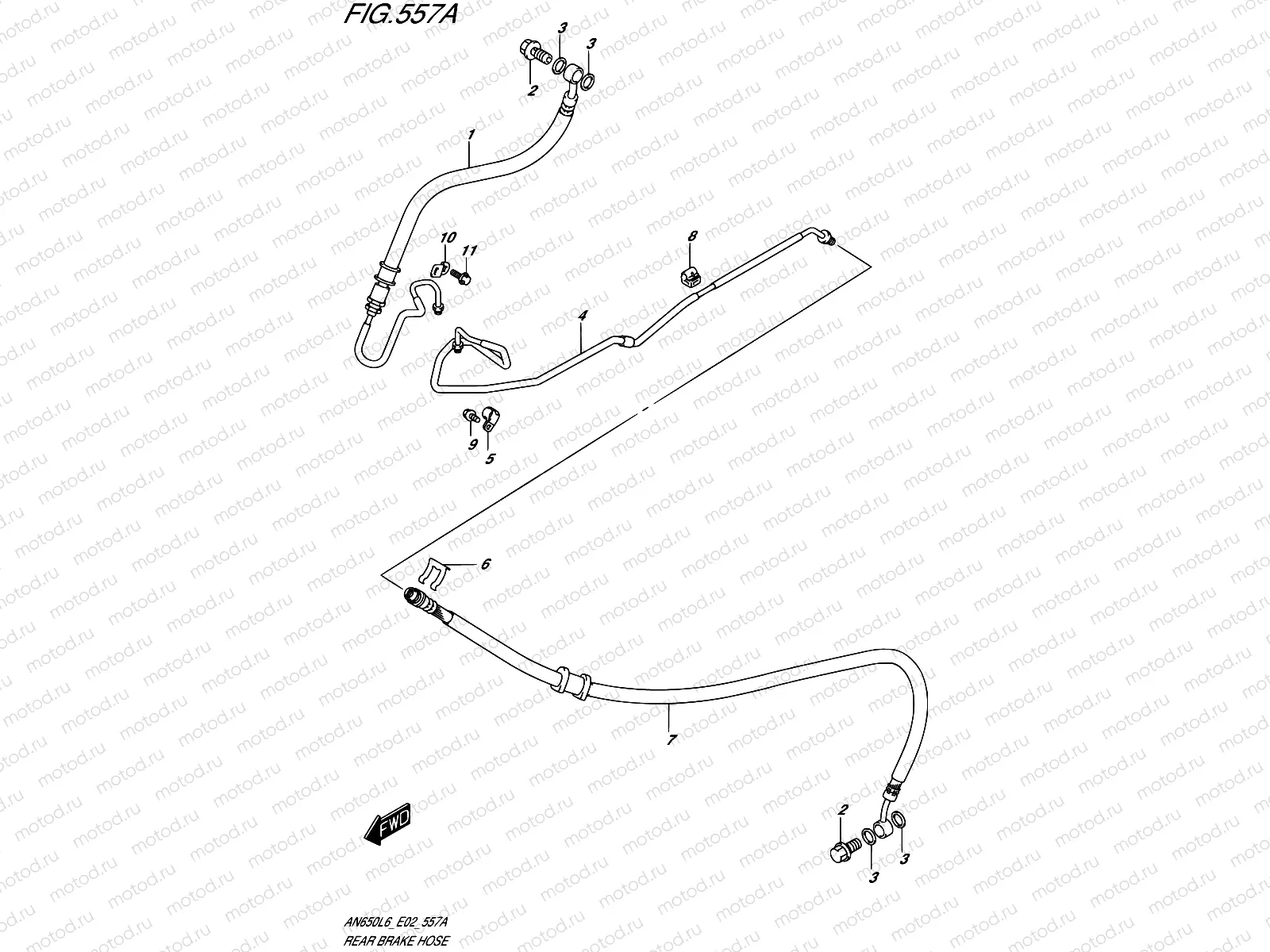557A - REAR BRAKE HOSE