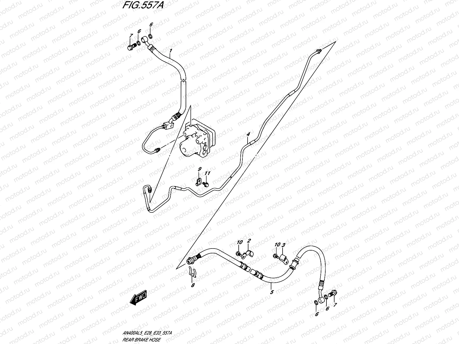 557A - REAR BRAKE HOSE