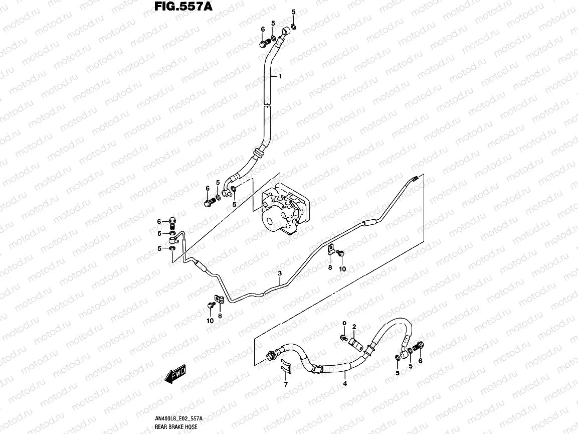 557A - REAR BRAKE HOSE