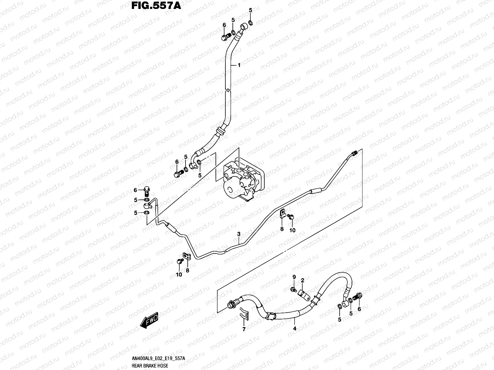 557A - REAR BRAKE HOSE