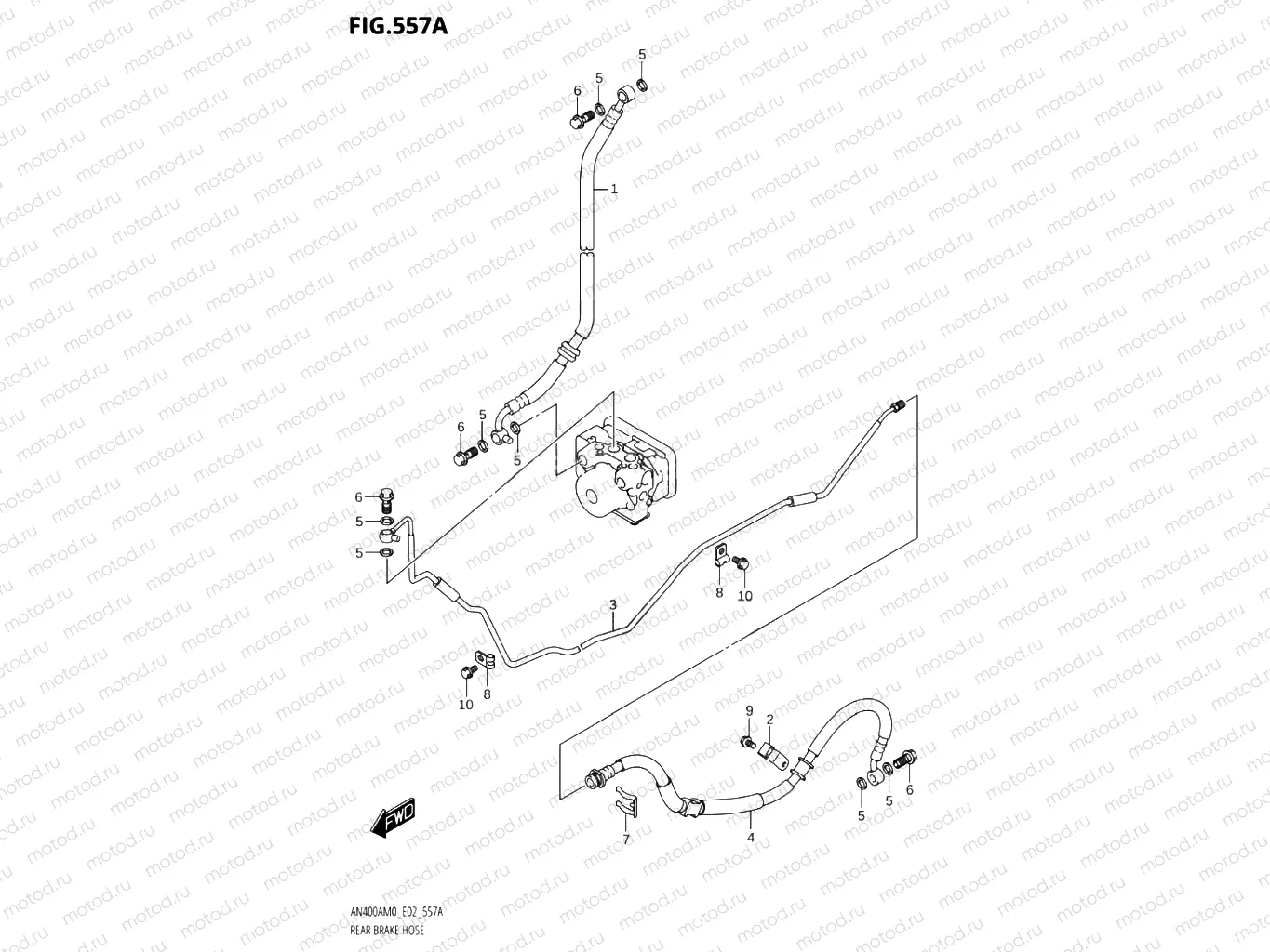 557A - REAR BRAKE HOSE
