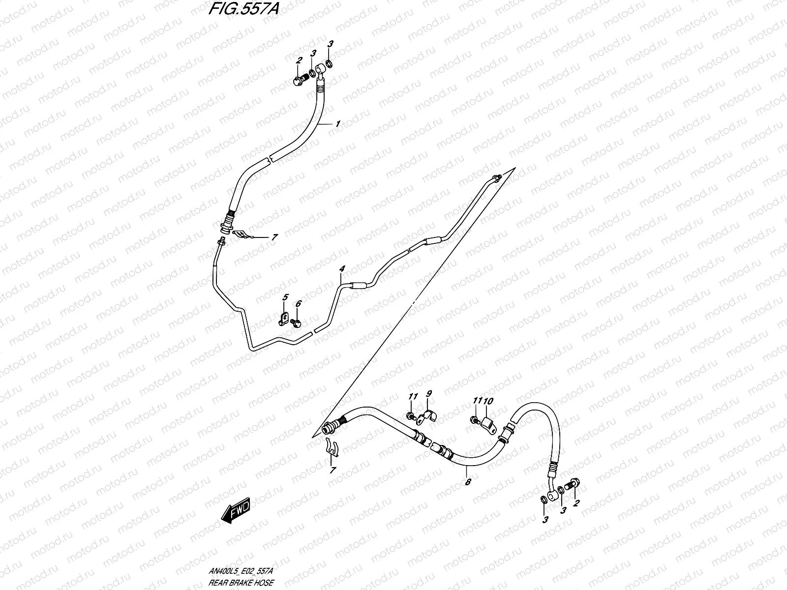 557A - REAR BRAKE HOSE (AN400L5 E19)