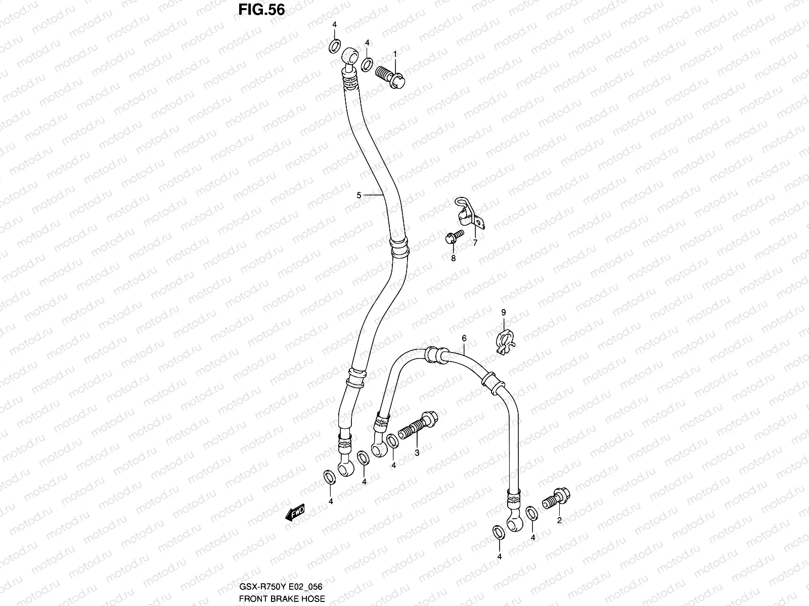 56 - FRONT BRAKE HOSE