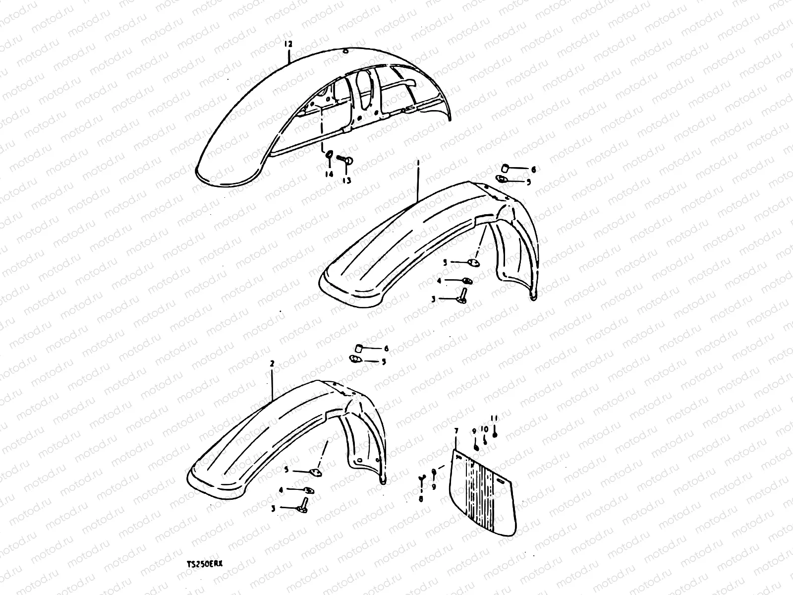 56 - FRONT FENDER