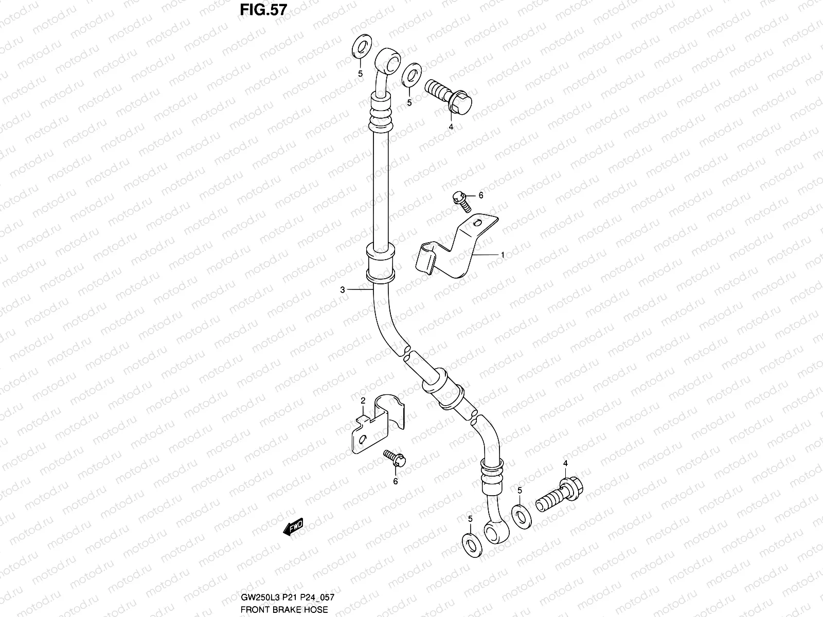 57 - FRONT BRAKE HOSE