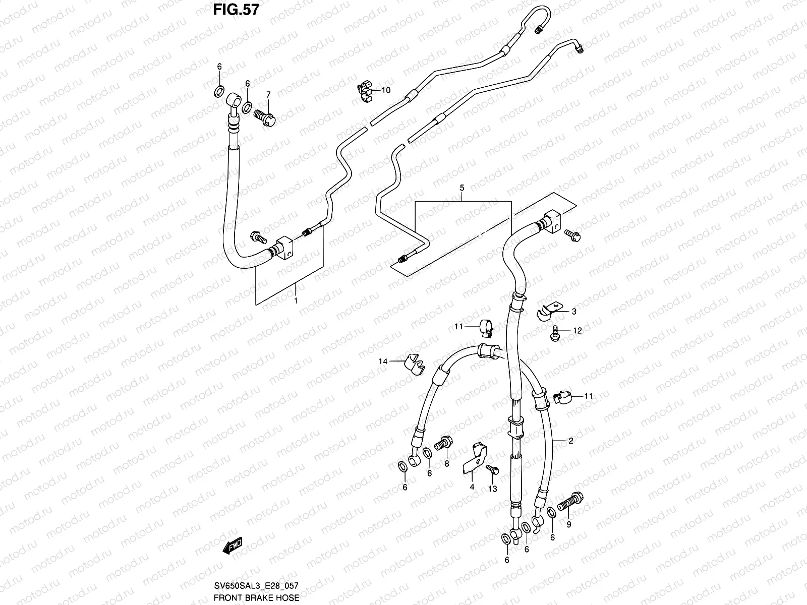 57 - FRONT BRAKE HOSE