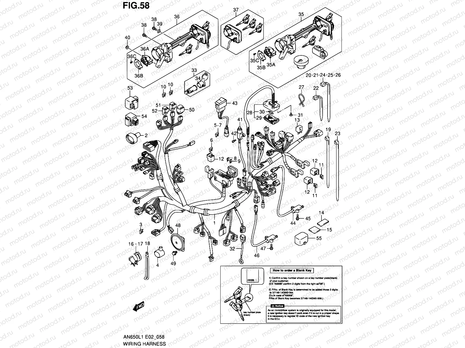58 - WIRING HARNESS (AN650AL1 E19)
