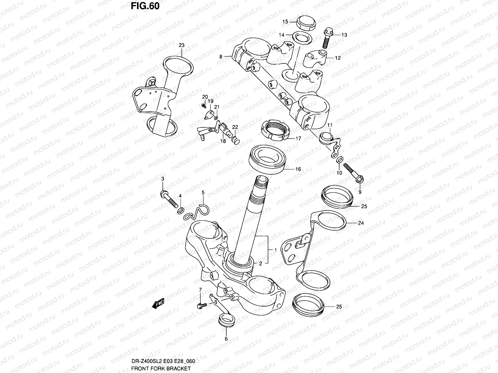 60 - FRONT FORK BRACKET