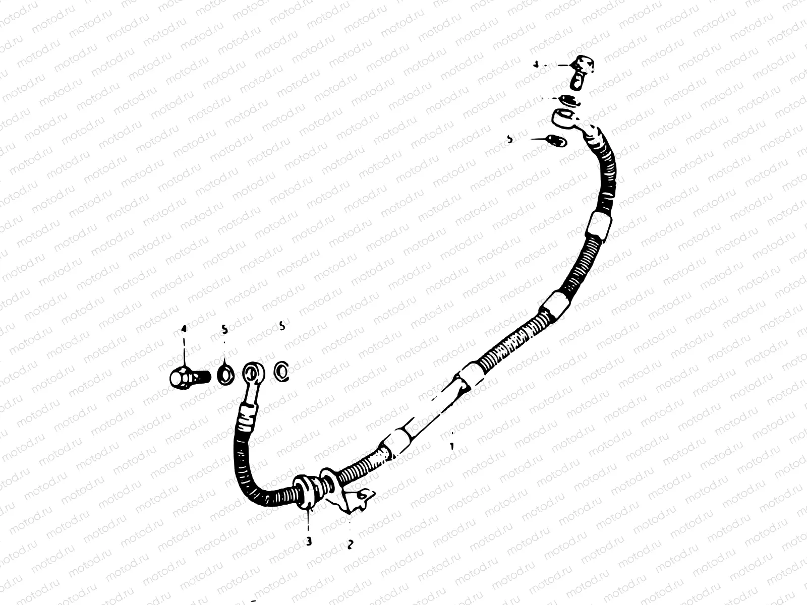 62 - REAR BRAKE HOSE