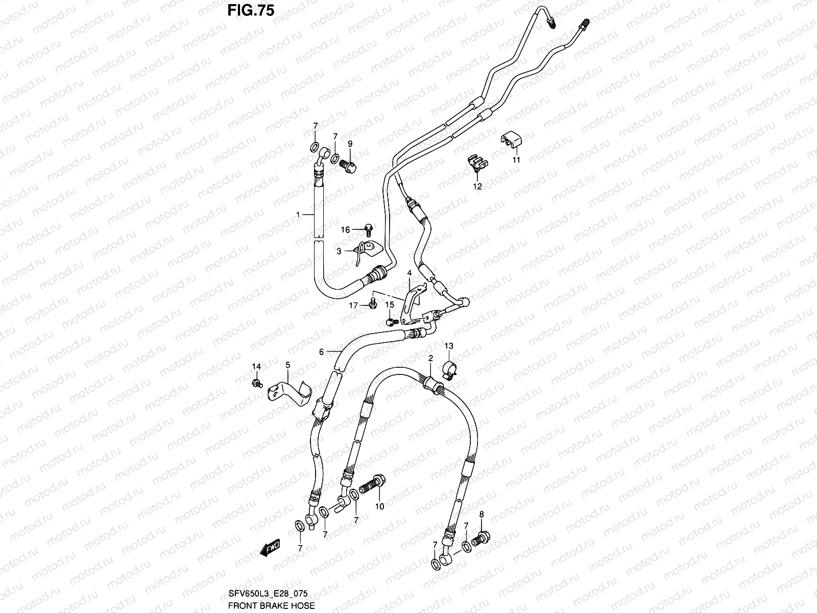 75 - FRONT BRAKE HOSE (SFV650AL3 E28)