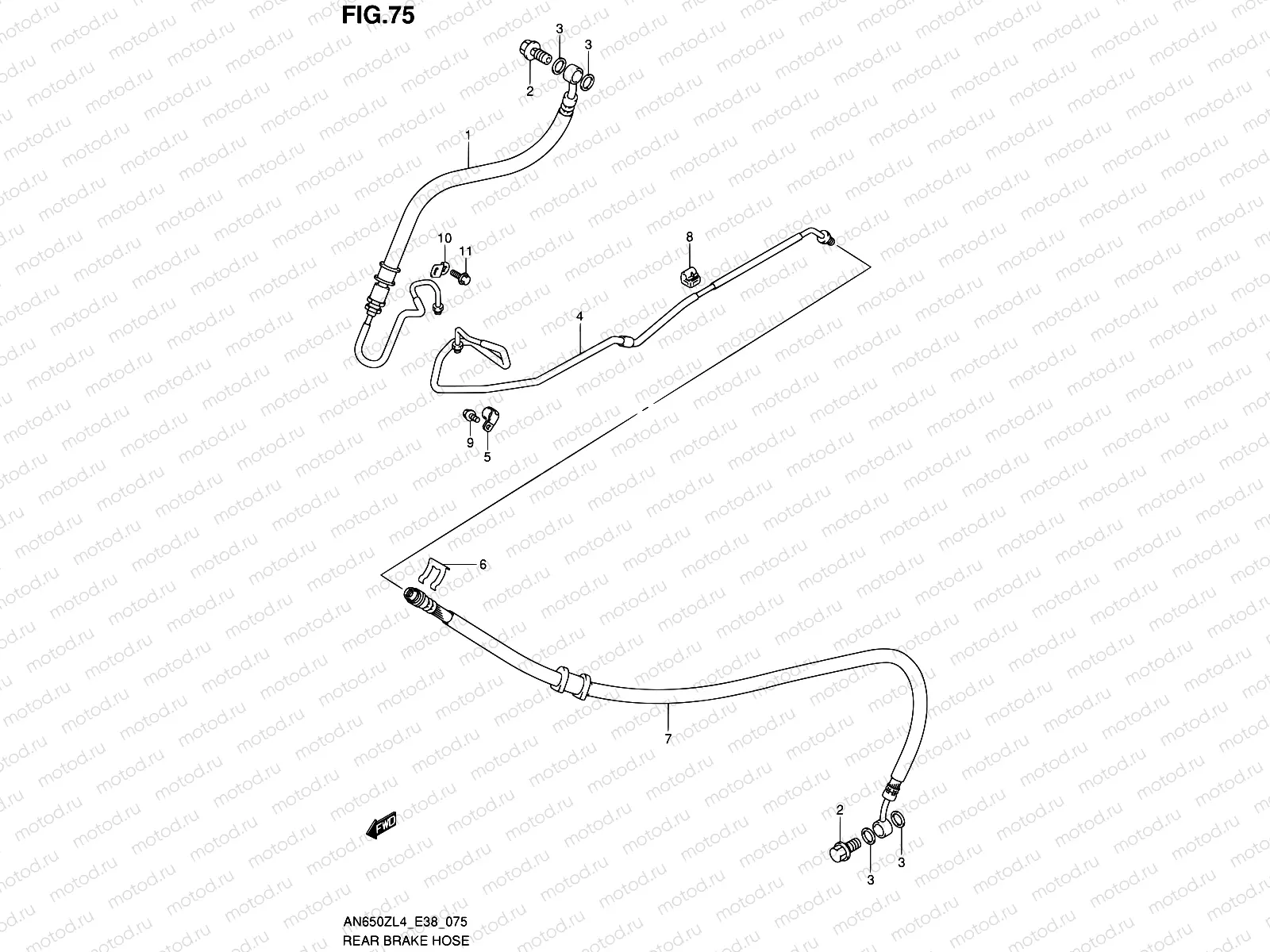 75 - REAR BRAKE HOSE