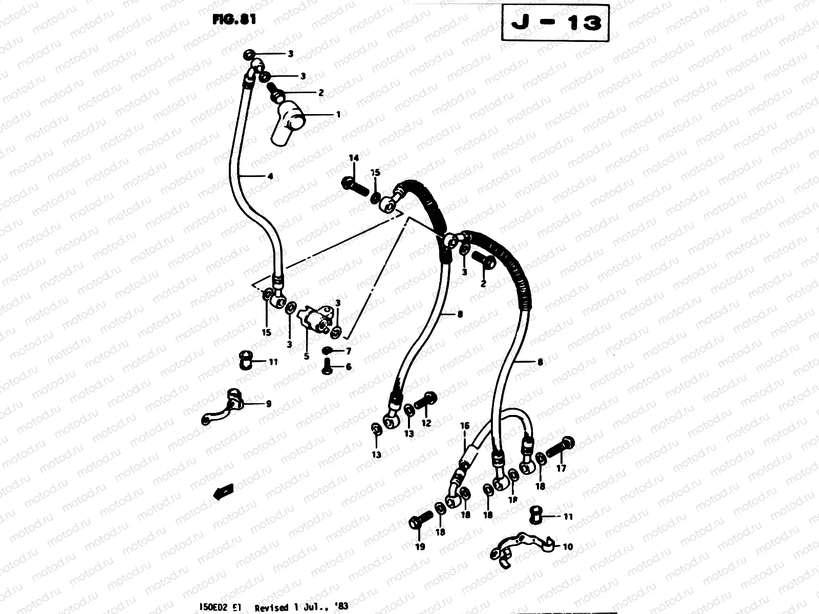 81 - FRONT BRAKE HOSE (E34)