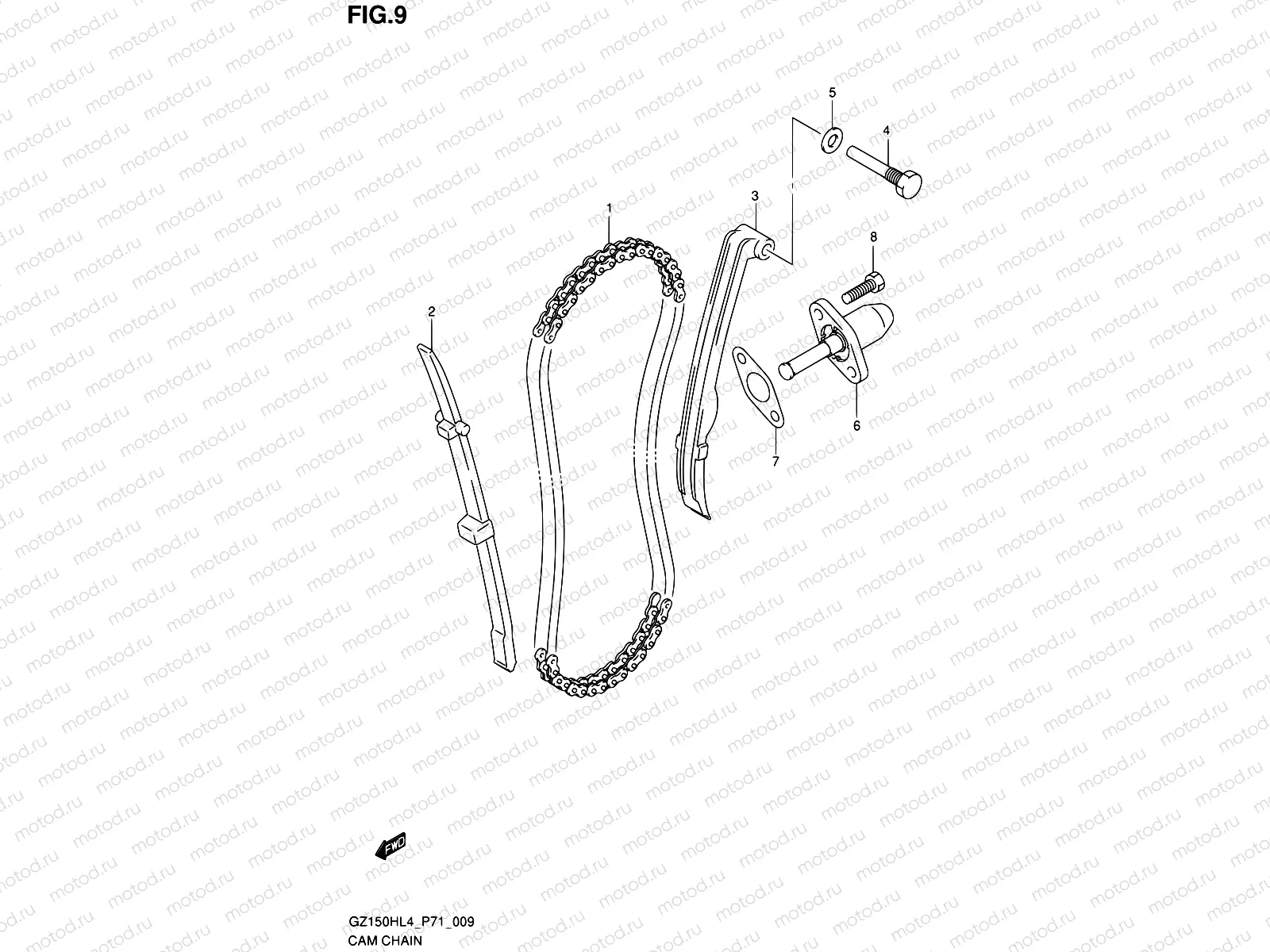 9 - CAM CHAIN