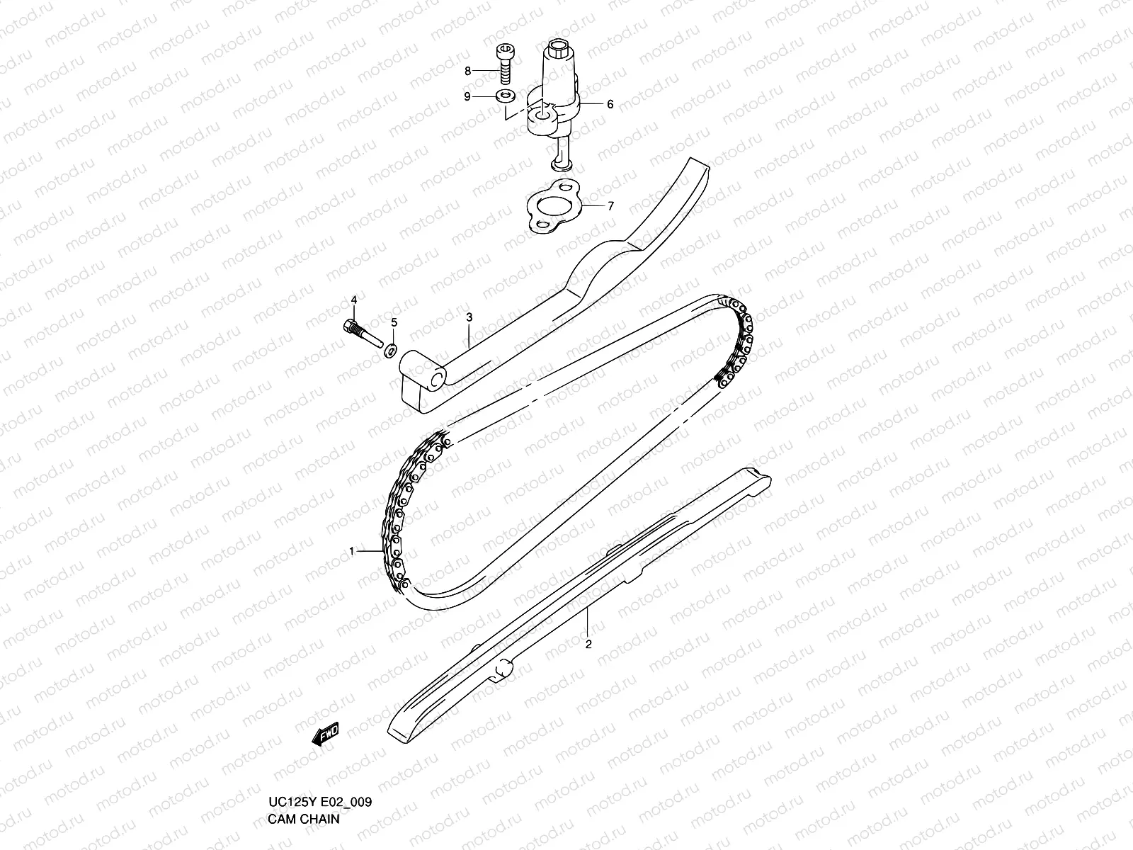 9 - CAM CHAIN