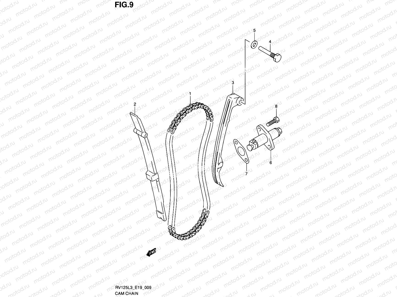 9 - CAM CHAIN