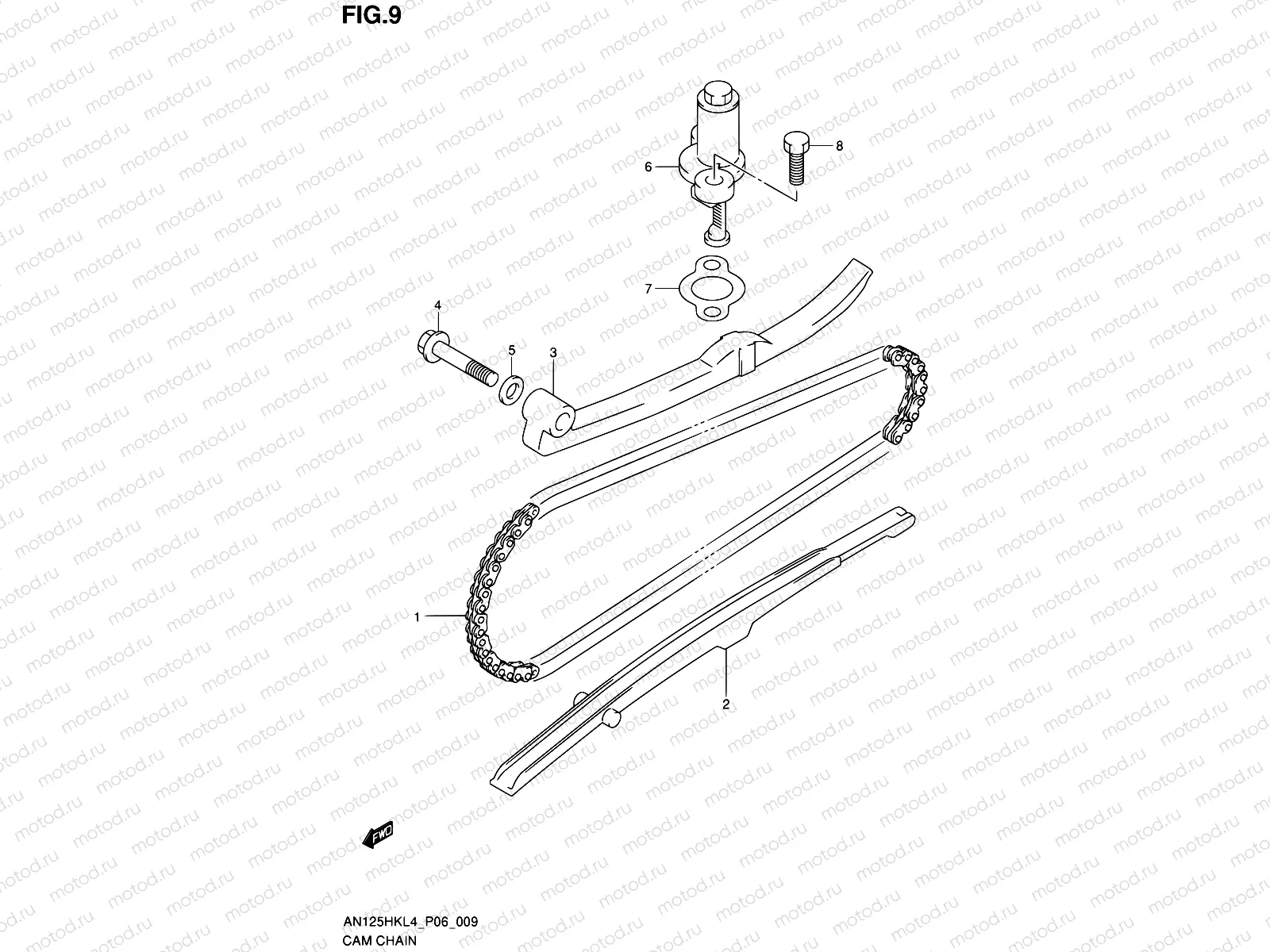 9 - CAM CHAIN