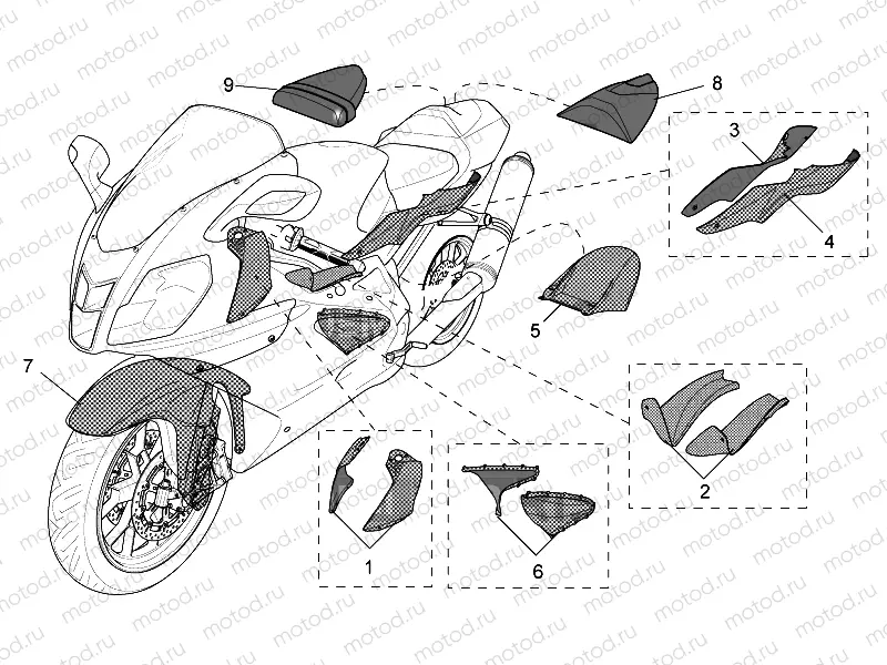 Acc. - Special body parts