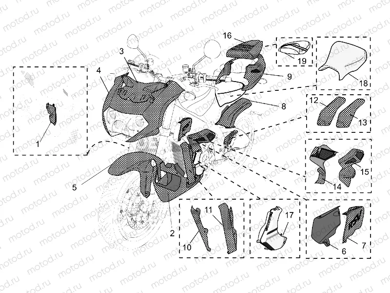Acc. - Special body parts