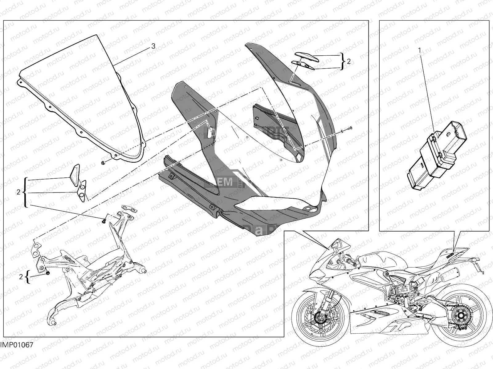 ACCESSORIES [MOD:1299R FE]