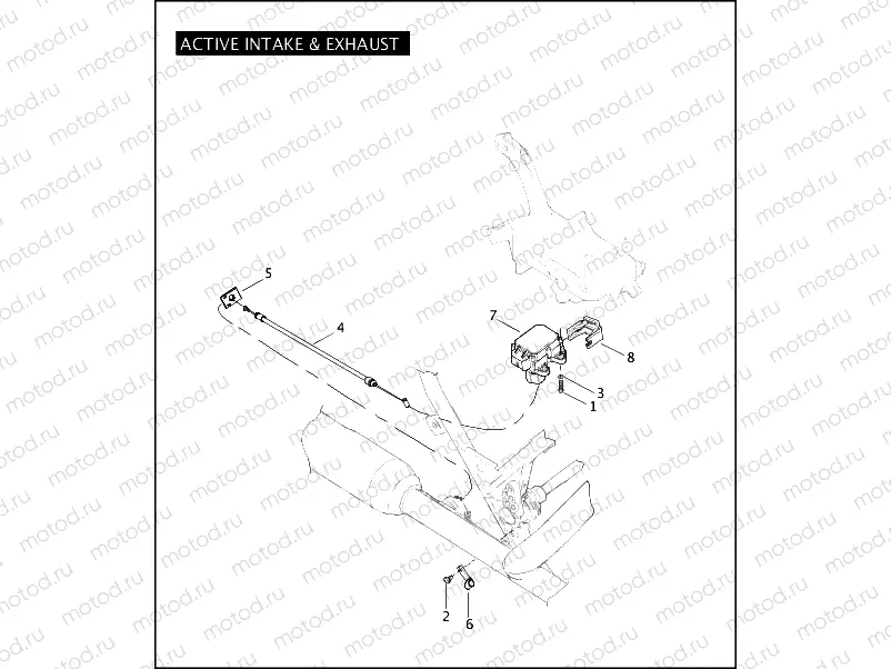 ACTIVE INTAKE & EXHAUST