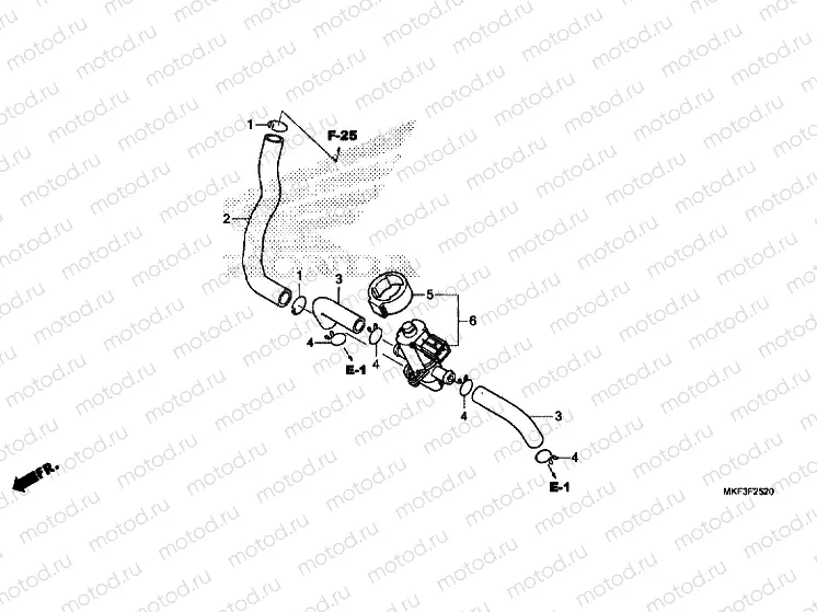 AIR INJECTION VALVE