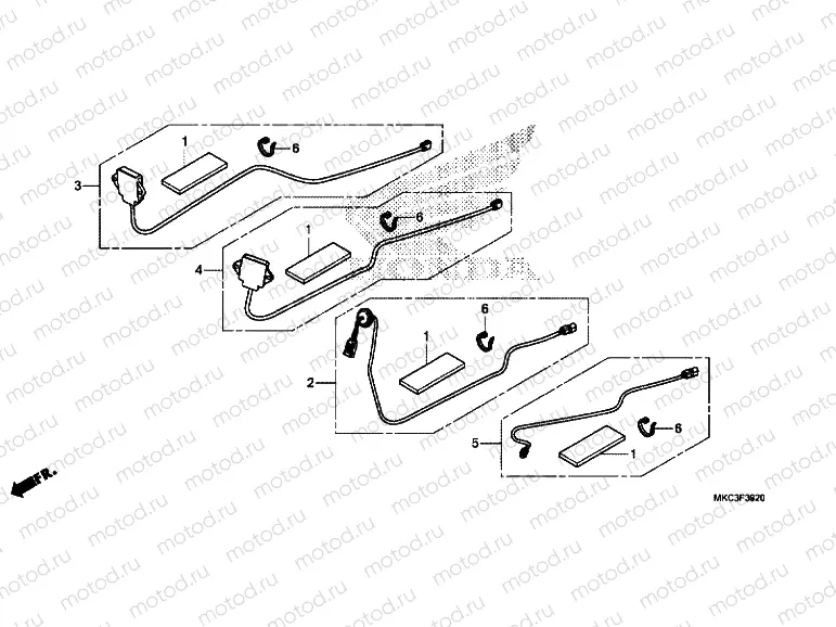 ANTENNA SET / CORD SET