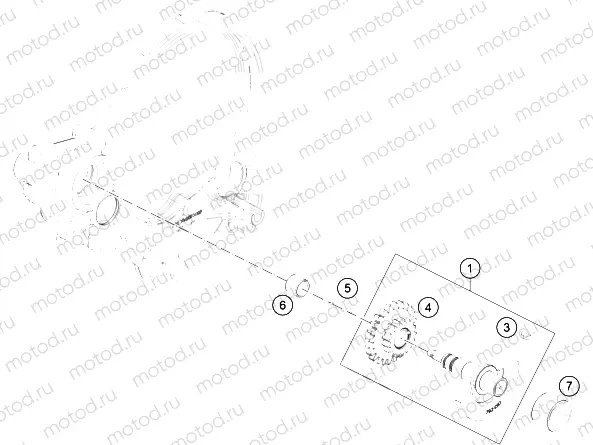 BALANCER SHAFT|Engine|30