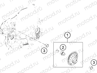 BALANCER SHAFT|Engine|30