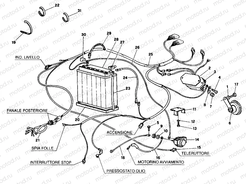 BATTERY FM <016055 » WIRING HARNESS