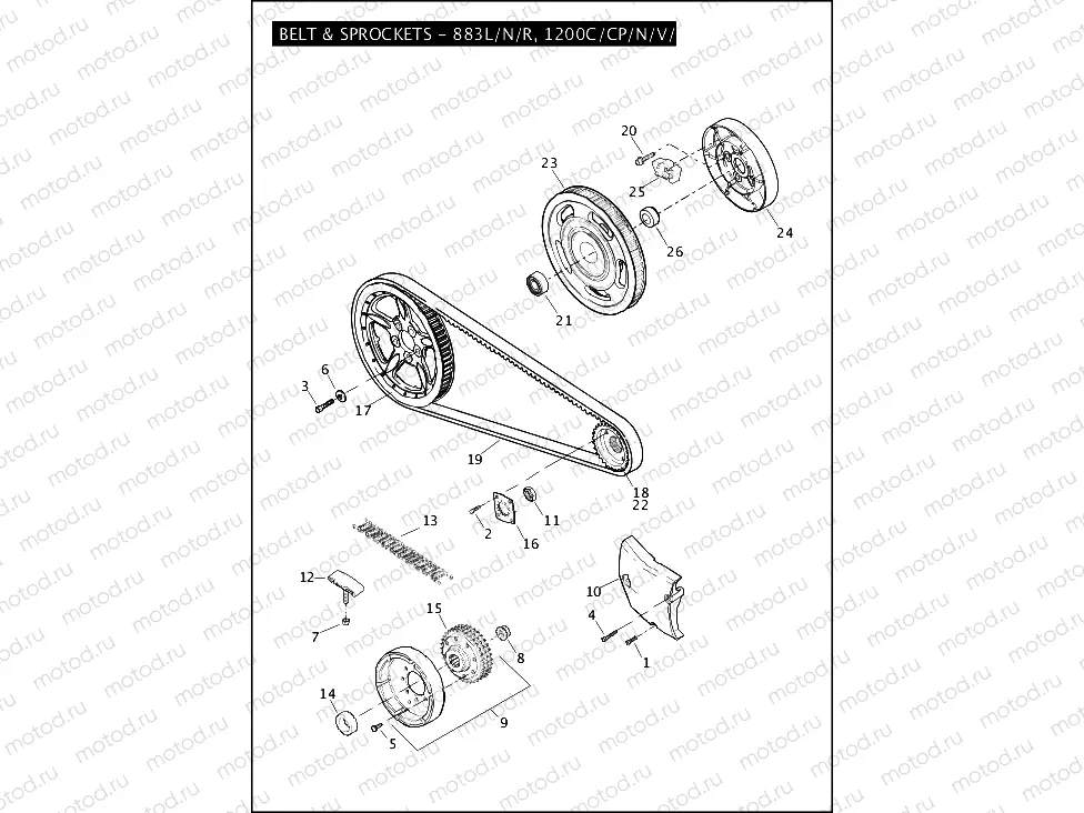 BELT & SPROCKETS - 883L/N/R, 1200C/CP/N/V/X