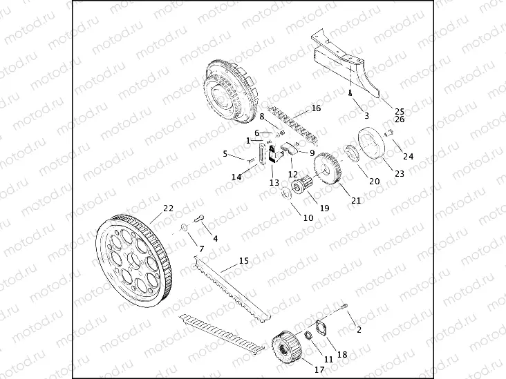 BELTS, CHAINS AND SPROCKETS