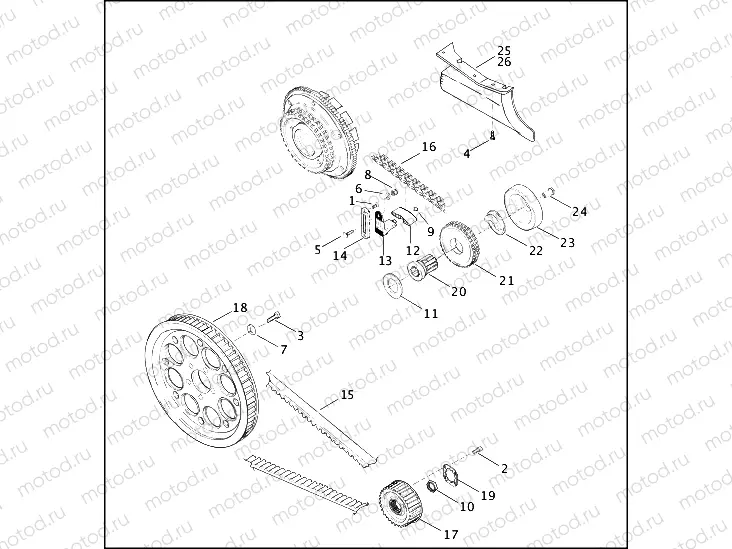 BELTS, CHAINS AND SPROCKETS