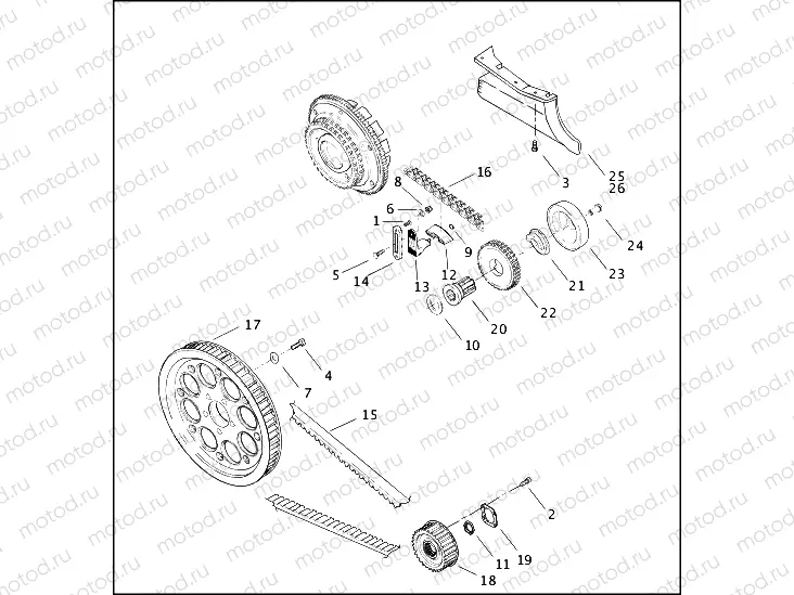 BELTS, CHAINS & SPROCKETS